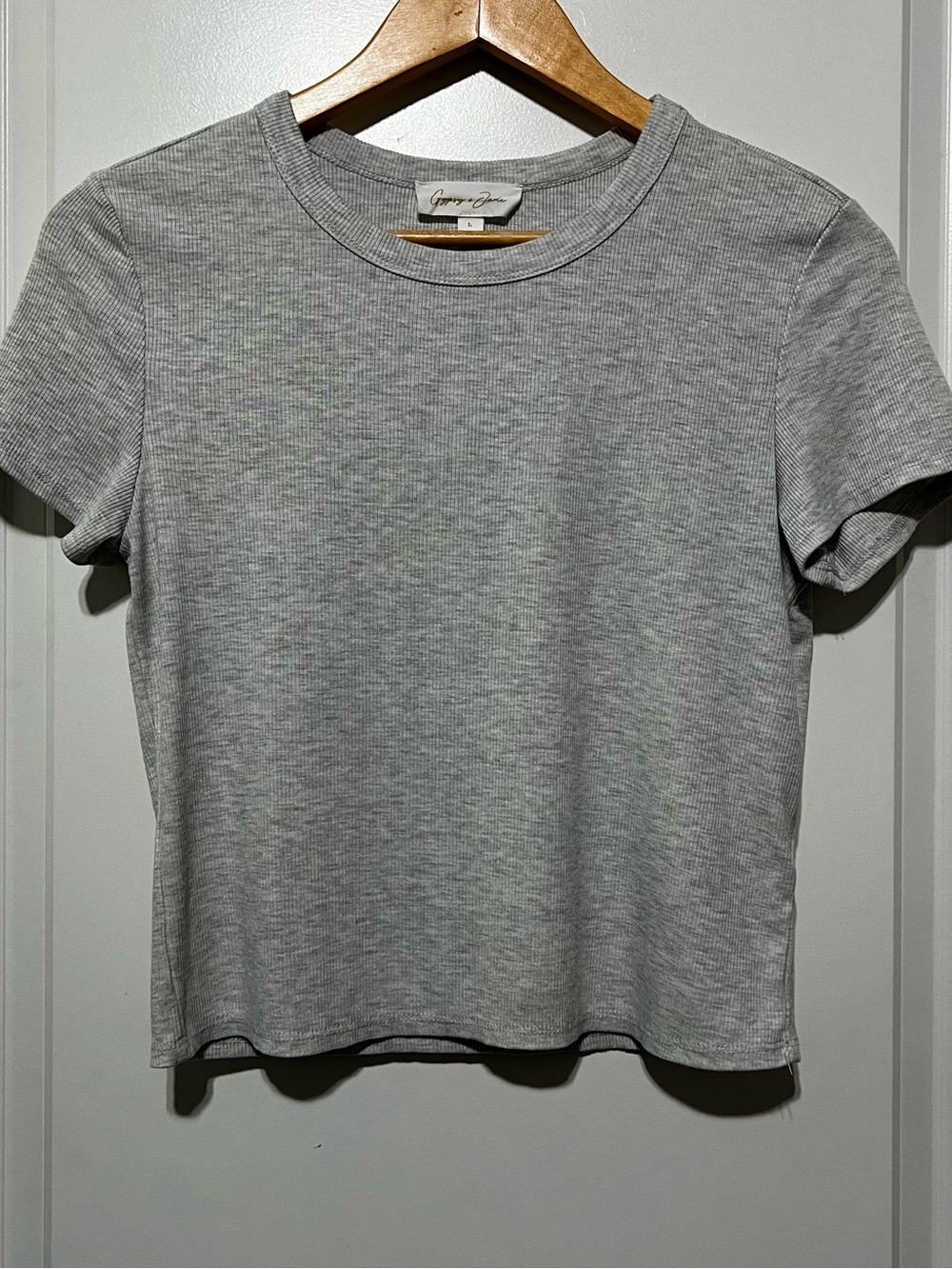 Gypsy + Jade Women’s Cropped Crewneck T Shirt in Gray